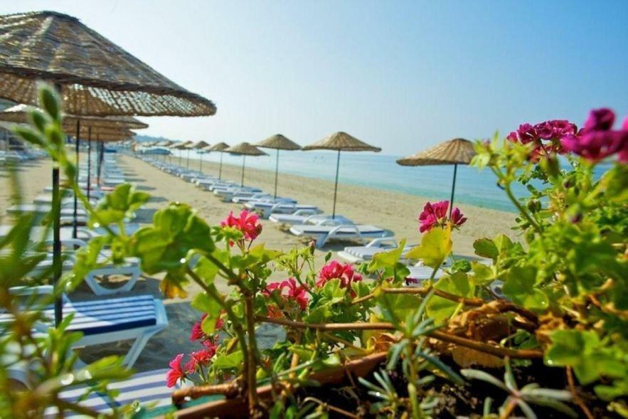 בויוקצ'קמג'ה Diamond City Resort Hotel מראה חיצוני תמונה